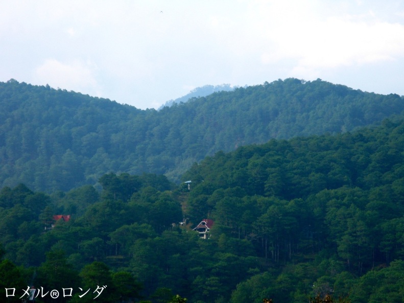 Sagada Mountains